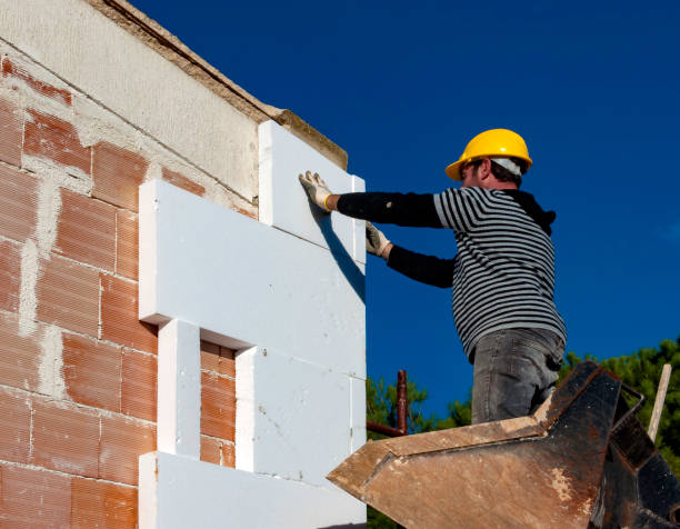 Best Energy-efficient Insulation  in Buffalo, TX