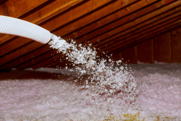 Best Local Insulation Services  in Buffalo, TX
