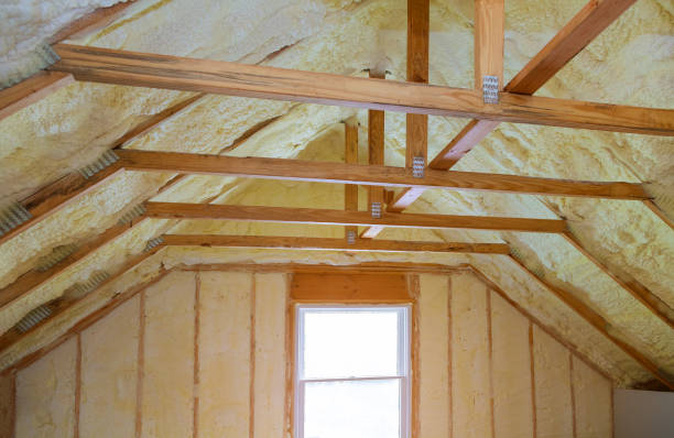 Best Insulation Contractors for Homes  in Buffalo, TX
