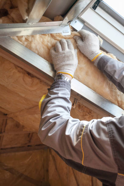 Best Insulation Replacement Services  in Buffalo, TX