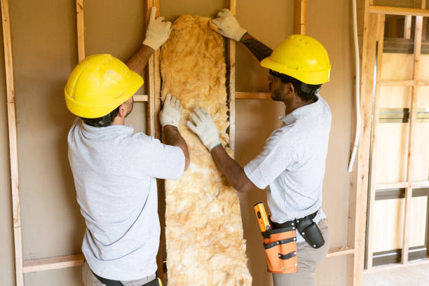 Best Cellulose Insulation  in Buffalo, TX