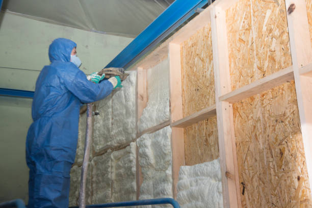 Best Soundproof Insulation Installation  in Buffalo, TX