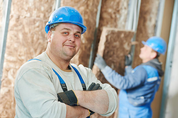 Best Insulation Replacement Services  in Buffalo, TX