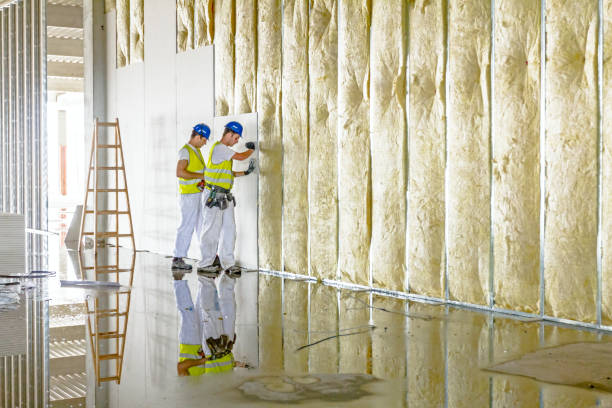 Best Affordable Insulation Services  in Buffalo, TX